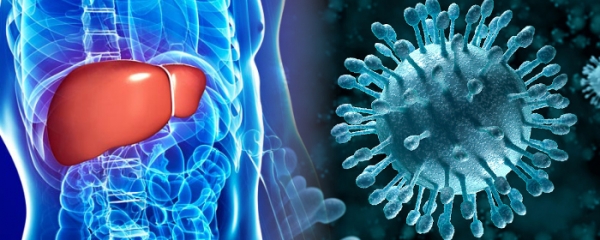 Why is the recovery of liver function not set as top priority in treatment for hepatitis C patients? What is the aim of antiviral treatment?