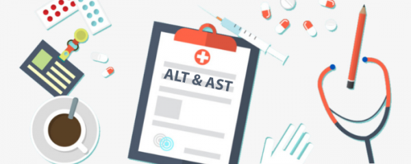 The AST and ALT levels on your blood test results – what do they mean? 