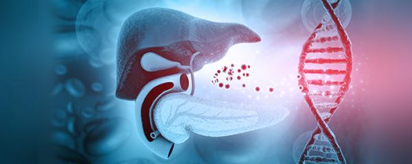 Research finds poor liver health may increase diabetes risk